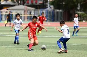 河北县域儿,童篮球赛事,完美落幕,PG电子平台,PG电子官方网站,PG电子登录入口,PG电子app下载