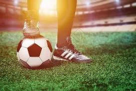 重庆金融助,力重点农业,产业链实施,PG电子平台,PG电子官方网站,PG电子登录入口,PG电子app下载