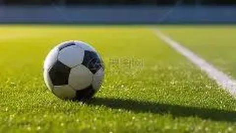 PG电子 资讯 131712 npp