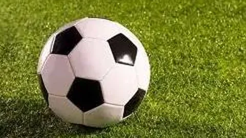 林依轮妻子智慧非凡：独树一帜，以一桌之策引领娱乐圈风潮