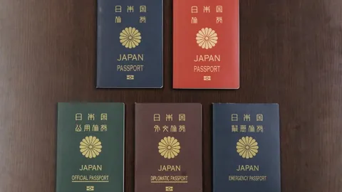 传奇征程再续篇：武磊2025年终记，球迷心声共鸣，期待下赛季荣耀回归！